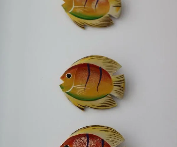 Solar Do Diabrete * 纳扎雷